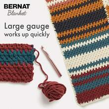 Bernat Blanket Yarn, Gathering Moss (Pack Of 2) - DRIED FLOWERS - View 3
