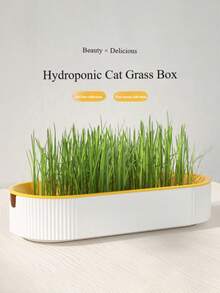 (Seeds Not Included)Cat Hydroponic Grass Grow Kit - Includes Soilless Grow Greenhouse Box For Hydroponics, Gardening And Sprouting (Seeds Not Included Grow Kit) - Multicolor - View 4