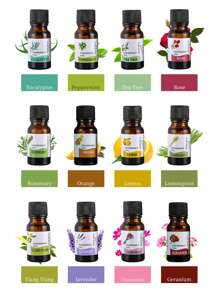 1 pezzo, Olio essenziale di aromaterapia idrosolubile, olio essenziale speciale per diffusore in pietra, purificazione dell aria in camera da letto senza fiamma di aromaterapia, olio essenziale di eucalipto, menta e ylang ylang.