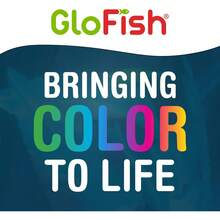 Glofish 29084 Grava para Acuario, Negra con Destacados Fluorescentes, Bolsa de 5 Libras - Bolsa Rosa/Verde/Azul Fluorescente - Ver 9