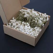 1 Box Bulk Green Stem & White Gypsophila Dried Flowers, DIY Material, Holiday Gift, In Stock Hot