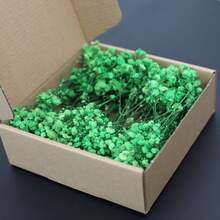 1 Box Bulk Green Stem & White Gypsophila Dried Flowers, DIY Material, Holiday Gift, In Stock Hot