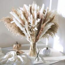 100 Stück natürliches getrocknetes Pampasgras, Boho-Dekorationsstrauß, Phragmites, getrocknete Blumen, Blumenstrauß für Hochzeitsblumenarrangements, Heimdekorationen