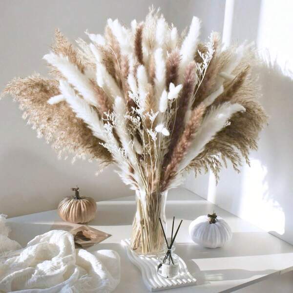 100 Stück natürliches getrocknetes Pampasgras, Boho-Dekorationsstrauß, Phragmites, getrocknete Blumen, Blumenstrauß für Hochzeitsblumenarrangements, Heimdekorationen