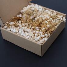 1 Box Bulk Green Stem & White Gypsophila Dried Flowers, DIY Material, Holiday Gift, In Stock Hot