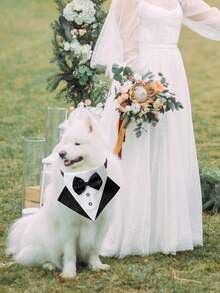1pc Formal Dog Tuxedo, Wedding Dog Collar With Bow Tie, Adjustable Pet Wedding Collar Bandana, Suitable For Small, Medium And Large Dogs - Black and White - View 3