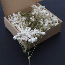 1 Box Bulk Green Stem & White Gypsophila Dried Flowers, DIY Material, Holiday Gift, In Stock Hot