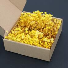 1 Box Bulk Green Stem & White Gypsophila Dried Flowers, DIY Material, Holiday Gift, In Stock Hot