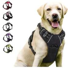 Dog Collars Harness Big Vests Leash Pet Shop Everything For Dogs Leather Puppy Accessories Medium Small Set