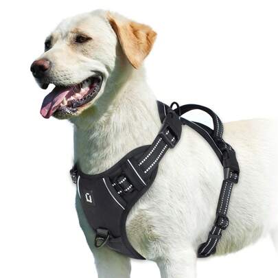 Dog Harness, No-Pull Pet Harness with 2 Leash Clips, Adjustable Soft Padded Dog Vest, Reflective No-Choke Pet Oxford Vest with Easy Control Handle for Large Dogs