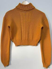 Women's Knitted Crop Top With Long Sleeves And Weaves. - Mù tạt - Xem 1
