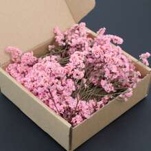1 Box Bulk Green Stem & White Gypsophila Dried Flowers, DIY Material, Holiday Gift, In Stock Hot