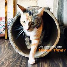 Hollow Log Cat Hideaway Indoor Outdoor Kitten Hideout Tunnel And Play Cave - Brown - View 6