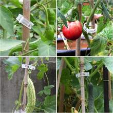100 supports de treillis en plastique pour vignes, tomates, plantes potagères, clips de jardin pour une croissance verticale, rend les plantes plus saines