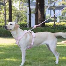 Guia Para Cães Anti-Rasgos Durável, Segura e Confortável, na Moda Para Passear Com Cães