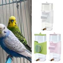 Parrot Waterer Pet Bird Feeding Tools Bird Drinker 300ml Capacity Bird Water Feeder For Small Pet Rabbit Budgie Lovebirds Caique
