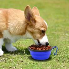 1 pezzo Ciotola da viaggio per cani pieghevole di alta qualità - in TPR durevole, design portatile e pieghevole rapido con moschettone, ottima per nutrire e dare acqua agli animali domestici durante le avventure all'aperto