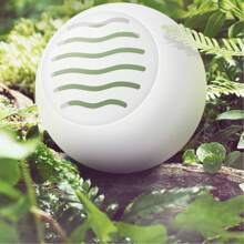 24er-Pack Schuh-Deodorant-Kugeln, feste Duft-Plastik-Geruchsentferner für Schuhschränke, Erfrischer für Sportschuhe, Innenaromatherapie, Schnellwirksame Geruchsentfernung