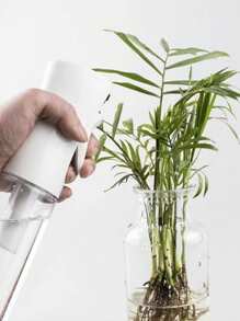1pc Green Hoya Climbing Stick, Coconut Fiber Trellis For Plant Climbing, Accompanied By 1pc 500ml Transparent Spray Bottle