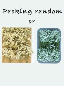 25/50/100/300 Pcs Mini Baby's Breath Flowers And Other Dried Flowers - For Resin Mold Art Craft, Ivory White Flowers Bouquet For Hair Accessory, Wedding Wreath, Table Vase, Home Decor