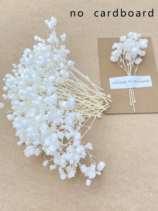 110 قطعة من الأزهار البيضاء المجففة الصغيرة، باقة شبابية - مناسبة لديكور DIY، بطاقات تهنئة ، حفلات الزفاف ، ديكورات المنزل والمكتب