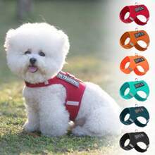 Conjunto de Coleira e Peitoral para Cachorros Pequenos, Material de Malha Respirável, Design de Fivela de Botão, Fácil de Usar, Fita Mágica Ajustável, Adequado para Passeios ao Ar Livre
