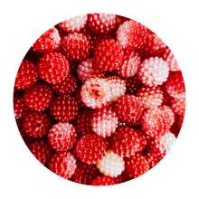 Vermelho e Branco