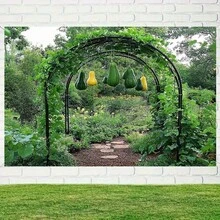 2D 高大花园拱形棚架，适用于攀缘植物 - 耐用聚酯纤维户外/室内装饰，无需电力，多功能派对和季节性装饰，适用于生日、毕业典礼、父亲节、秋季活动、花园、客厅、卧室、办公室、装饰灯串 | 优质工艺，攀缘植物夹 - 彩色 - 查看 4