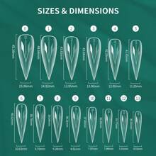 3D Dragon Claw Nail Dual Forms For Poly Gel Extension Clear Reusable Full Coverage Molds 140pcs 14sizes, For Salon & DIY At Home