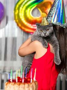 5 Peças Chapéus de Festa Mini Reutilizáveis, Chapéus de Aniversário para Cachorro e Gato com Pompom, Chapéus de Festa de Aniversário em Formato de Cone para Cães de Médio e Grande Porte, Chapéus de Festa de Aniversário para Animais de Estimação Ajustáveis com Pompom, Adequados para Decoração de Aniversário, Casamento, Fantasia de Halloween, Suprimentos de Festa de Halloween, Doces de Halloween, Lembrancinhas de Halloween - Multicolorido - Visão 6
