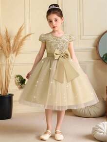 Young Girls Embroidered Mesh Princess Dress With Puff Sleeves, Suitable For School Graduation, Flower Girl, Wedding, Does Not Include Headband - Champagne - View 1