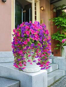 Artificial Silk Morning Glory With Eucalyptus Leaves, UV-Resistant, Realistic Hanging Floral, Artificial Lifelike Flower Plant, Suitable For Outdoor Decoration In Spring And Summer, Artificial Hanging Floral, Suitable For Wedding, Home, Office, Garden, Birthday, Anniversary, Holiday, Graduation Ceremony Decoration (Rose Red) - Multicolor - View 6