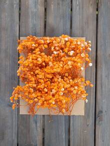 110pcs White Mini Dried Flowers Bouquet - Suitable For DIY Decor, Cards, Weddings, Home And Office Decoration - Orange - View 4