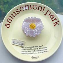 鸟与花系列发夹，小众设计鹦鹉醋酸纤维发夹，卡通拼布鸟发夹，创意可爱大雏菊醋酸纤维发夹，向日葵发夹，可爱甜美花朵发髻发夹，高品质水钻发夹 - 彩色 - 查看 18