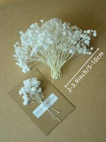 110 قطعة من الأزهار البيضاء المجففة الصغيرة، باقة شبابية - مناسبة لديكور DIY، بطاقات تهنئة ، حفلات الزفاف ، ديكورات المنزل والمكتب