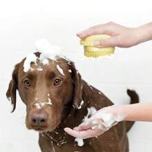 1pc Pet Shampoo Brush And Bath Brush, Silicone Massage Rubber Bath Comb With Shampoo Storage Device, Suitable For Dog And Cat Grooming Tools, Scrubbing And Bathing Cleaning Tools (Random Color Shipping)