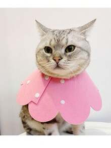 طوق إليزابيث للقطط، طوق تعقيم، طوق كلب، طوق قطة، مخروط إليزابيث، طوق رقبة مضاد للحك، لوازم الحيوانات الأليفة