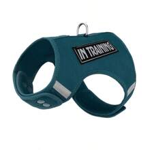 Conjunto de Coleira e Peitoral para Cachorros Pequenos, Material de Malha Respirável, Design de Fivela de Botão, Fácil de Usar, Fita Mágica Ajustável, Adequado para Passeios ao Ar Livre