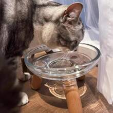 1 Pc Detachable Elevated Pet Bowl, Scientific Height Design For Spine Care, Stable Base To Prevent Tipping, For Indoor Cats And Dogs, Dishwasher Friendly