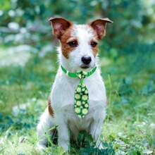 Confezione da 10/50 pezzi di papillon pet moda, serie ocean estiva, con fiori di margherita, adatto per animali domestici di piccola e media taglia per uso quotidiano, colore casuale