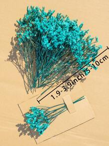 25/50/100/300 Pcs Mini Baby's Breath Flowers And Other Dried Flowers - For Resin Mold Art Craft, Ivory White Flowers Bouquet For Hair Accessory, Wedding Wreath, Table Vase, Home Decor