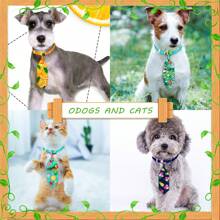 Confezione da 10/50 pezzi di papillon pet moda, serie ocean estiva, con fiori di margherita, adatto per animali domestici di piccola e media taglia per uso quotidiano, colore casuale