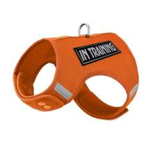 Conjunto de Coleira e Peitoral para Cachorros Pequenos, Material de Malha Respirável, Design de Fivela de Botão, Fácil de Usar, Fita Mágica Ajustável, Adequado para Passeios ao Ar Livre