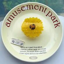 鸟与花系列发夹，小众设计鹦鹉醋酸纤维发夹，卡通拼布鸟发夹，创意可爱大雏菊醋酸纤维发夹，向日葵发夹，可爱甜美花朵发髻发夹，高品质水钻发夹 - 彩色 - 查看 24