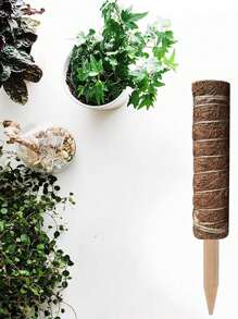 1pc Green Hoya Climbing Stick, Coconut Fiber Trellis For Plant Climbing, Accompanied By 1pc 500ml Transparent Spray Bottle