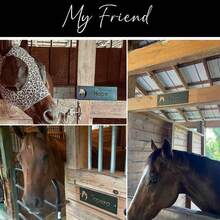 Artisan-Crafted Stable Name Tag - Vintage Iron Horse Plate With Enamel Accents, Weatherproof Personalized Stall Sign For Ranch/Farm, Western-Style Equestrian Wall Art Collection - Multicolor - View 4