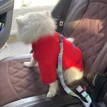 Pet Car Harness, Dog Vehicle Seatbelt, For Medium & Small Dogs Car Seat Strap