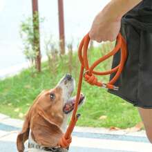 Guia Para Cães Anti-Rasgos Durável, Segura e Confortável, na Moda Para Passear Com Cães