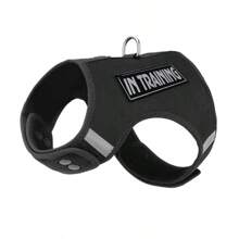 Conjunto de Coleira e Peitoral para Cachorros Pequenos, Material de Malha Respirável, Design de Fivela de Botão, Fácil de Usar, Fita Mágica Ajustável, Adequado para Passeios ao Ar Livre