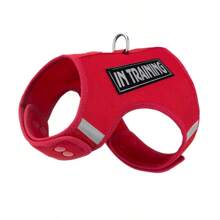 Conjunto de Coleira e Peitoral para Cachorros Pequenos, Material de Malha Respirável, Design de Fivela de Botão, Fácil de Usar, Fita Mágica Ajustável, Adequado para Passeios ao Ar Livre